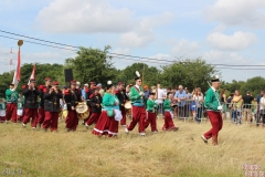 IMG_6651